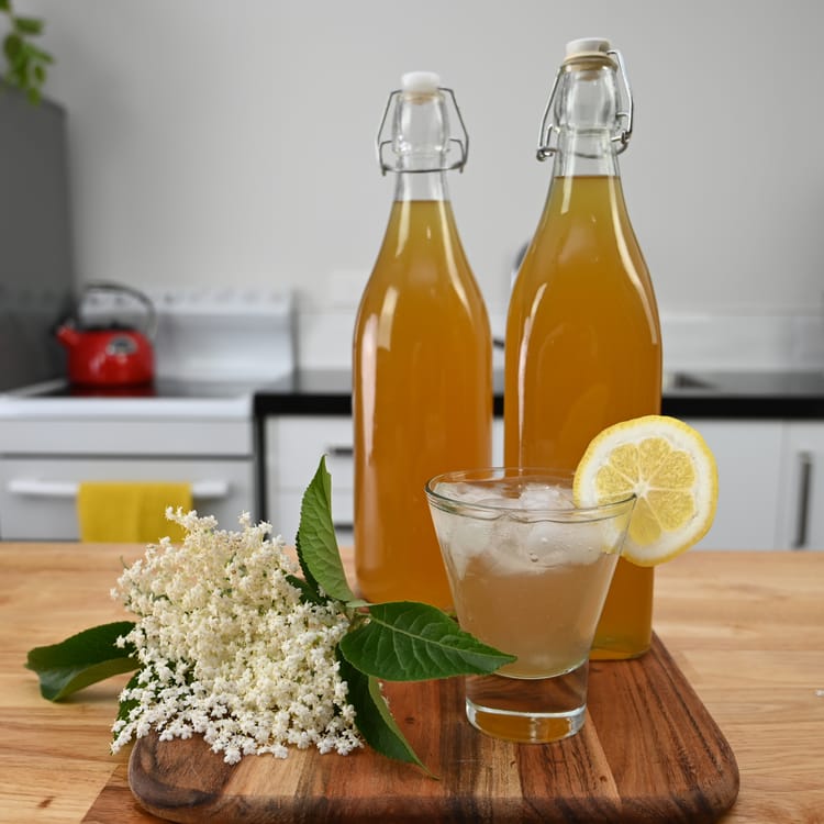 Elderflower Cordial